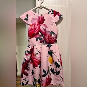 Ted Baker Cocktail Dress (Size 1)
